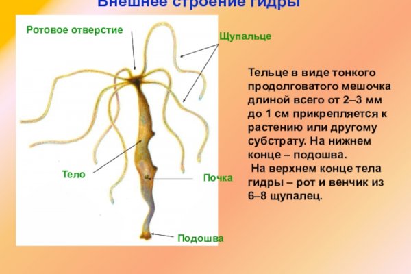 Кракен ссылка зеркало рабочее in.krmp.cc