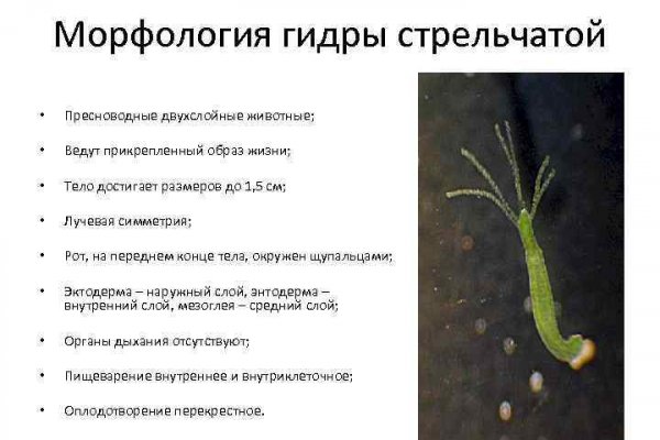Ссылки на kraken зеркала