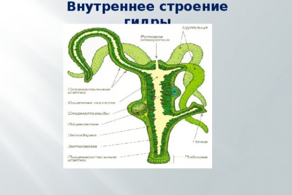 Ссылка на кракен тор браузер